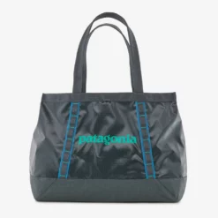 Patagonia Plume Grey 25L Black Hole Gear Tote