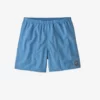 Patagonia Clean Currents Patch Lago Blue Baggies 5" Shorts